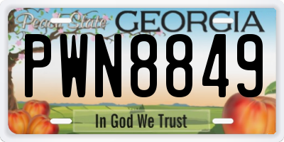 GA license plate PWN8849