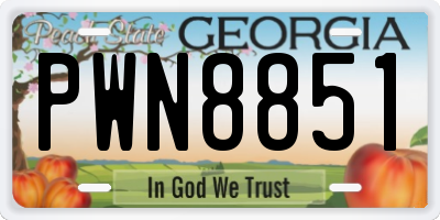 GA license plate PWN8851