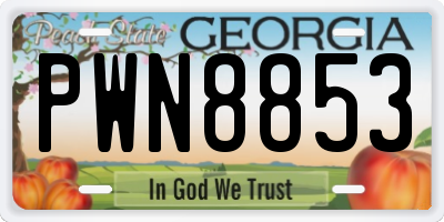 GA license plate PWN8853