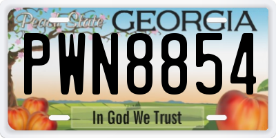 GA license plate PWN8854