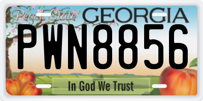 GA license plate PWN8856