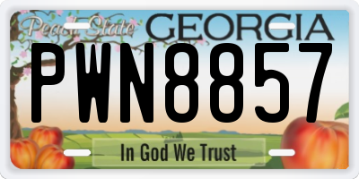 GA license plate PWN8857