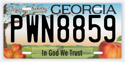 GA license plate PWN8859