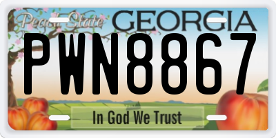 GA license plate PWN8867