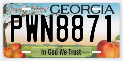 GA license plate PWN8871