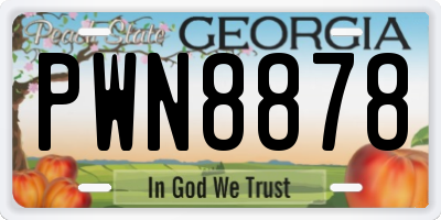GA license plate PWN8878