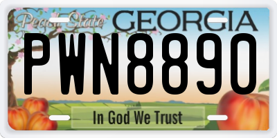 GA license plate PWN8890