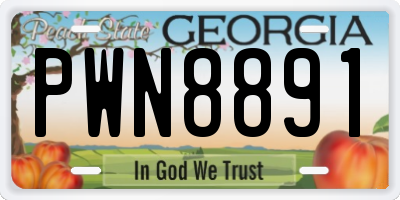 GA license plate PWN8891