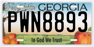 GA license plate PWN8893