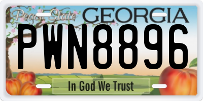 GA license plate PWN8896