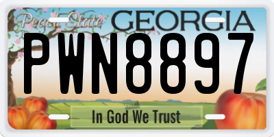 GA license plate PWN8897