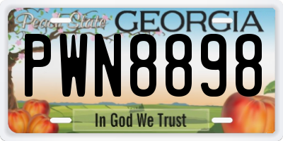 GA license plate PWN8898