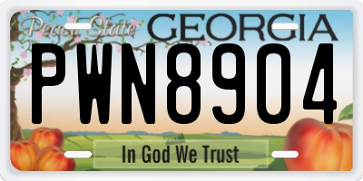 GA license plate PWN8904