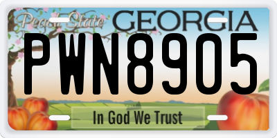 GA license plate PWN8905