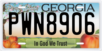 GA license plate PWN8906