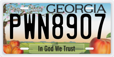 GA license plate PWN8907