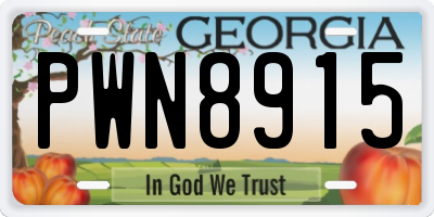 GA license plate PWN8915