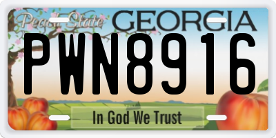 GA license plate PWN8916