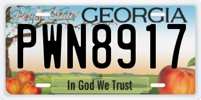 GA license plate PWN8917