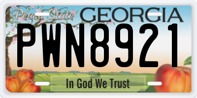 GA license plate PWN8921