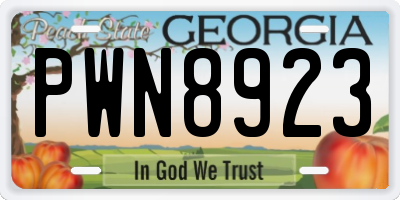 GA license plate PWN8923