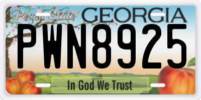 GA license plate PWN8925