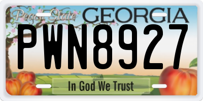 GA license plate PWN8927