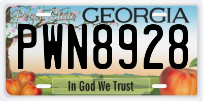 GA license plate PWN8928