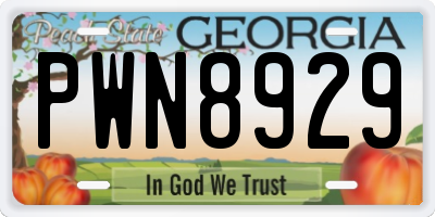GA license plate PWN8929