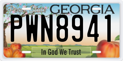 GA license plate PWN8941