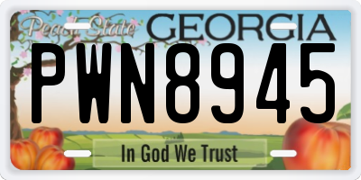 GA license plate PWN8945