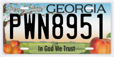 GA license plate PWN8951