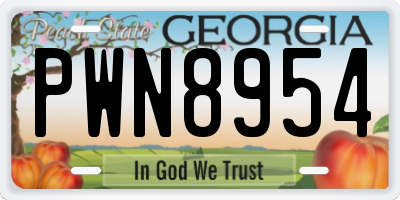 GA license plate PWN8954
