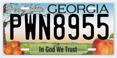 GA license plate PWN8955