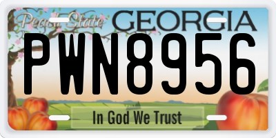 GA license plate PWN8956