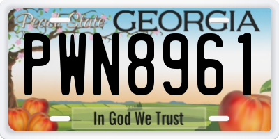 GA license plate PWN8961