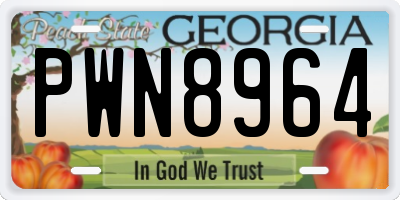 GA license plate PWN8964