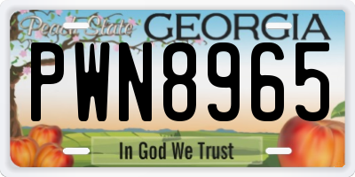 GA license plate PWN8965