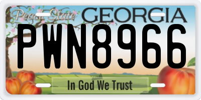 GA license plate PWN8966