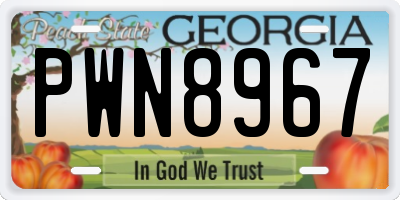 GA license plate PWN8967