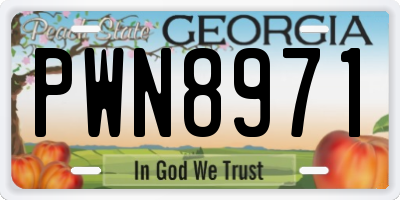 GA license plate PWN8971