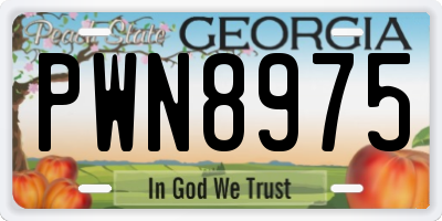 GA license plate PWN8975