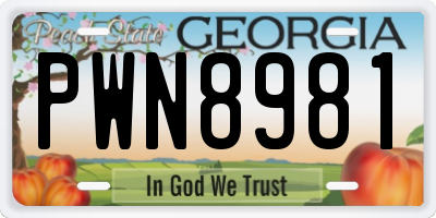 GA license plate PWN8981