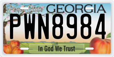 GA license plate PWN8984