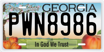 GA license plate PWN8986