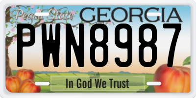 GA license plate PWN8987