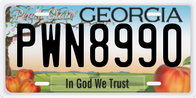 GA license plate PWN8990
