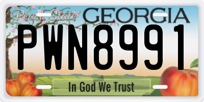 GA license plate PWN8991