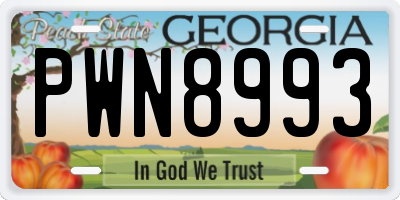 GA license plate PWN8993