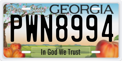 GA license plate PWN8994